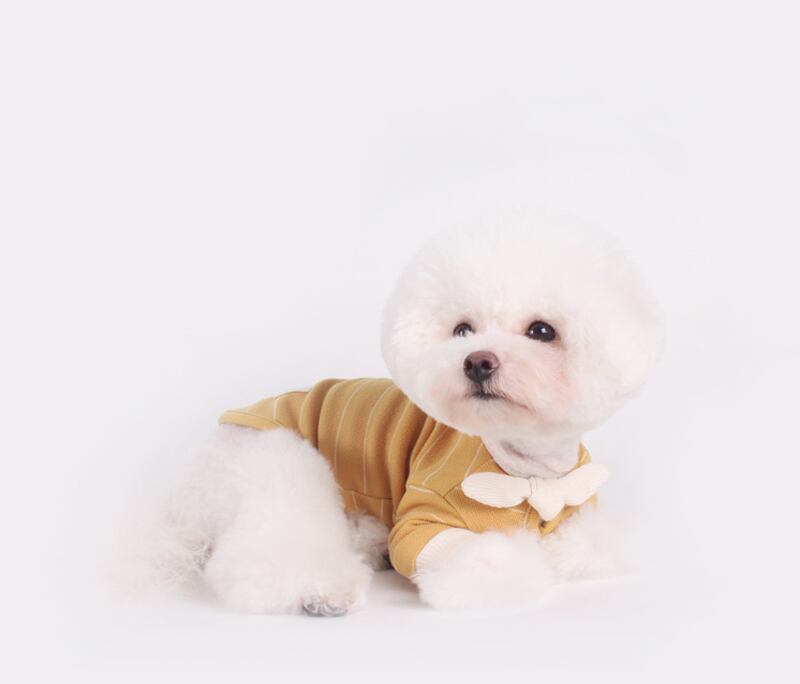 スカーフストライプTシャツ S~XL / 犬の服 犬服 ペット洋服 ドッグウェア ペット用品 小型犬 中型犬