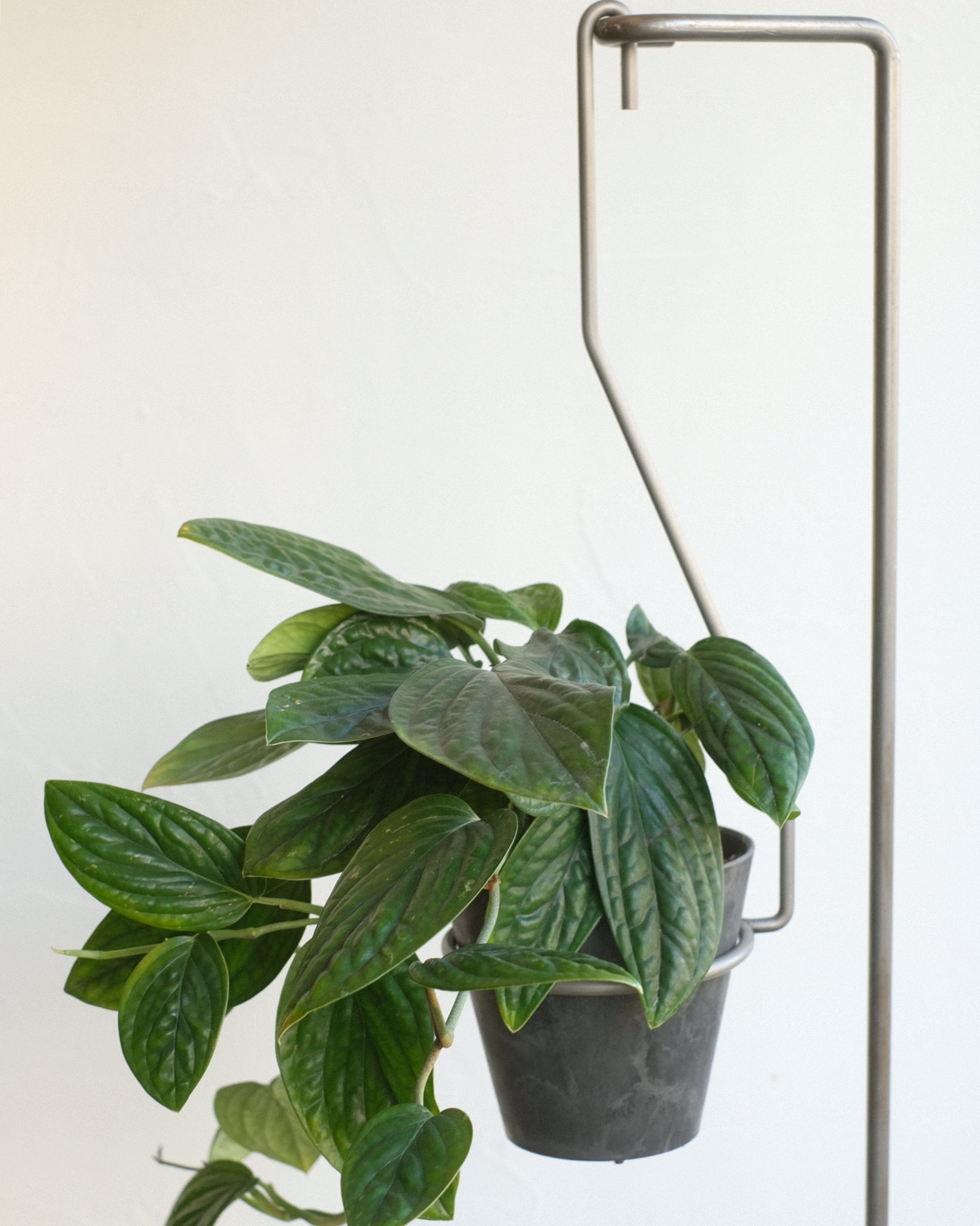 PLOP HANGING STAND | WEST VILLAGE TOKYO