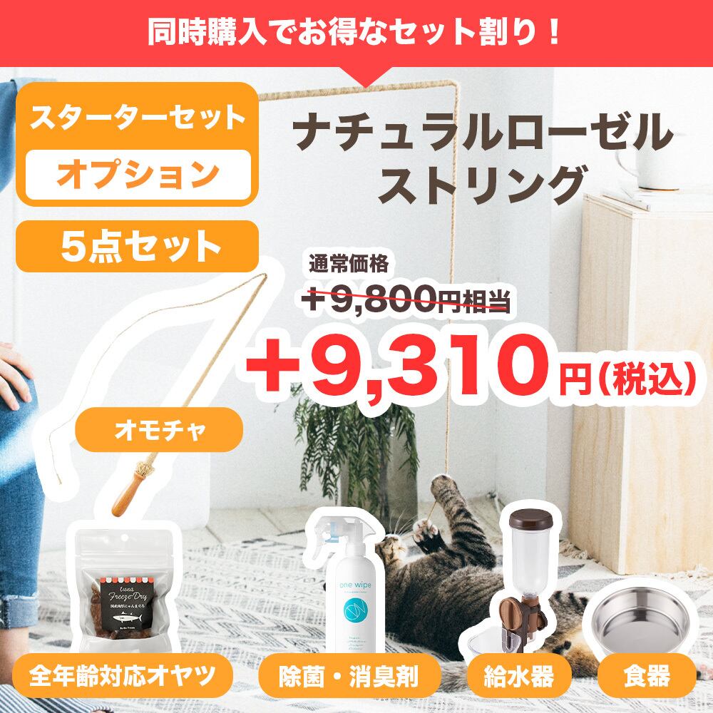 1月5日以降順次発送【スターターセット[Mタイプ] ieneko（ホワイト