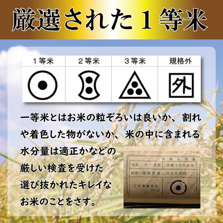 リピーター様1キロ増量中！令和7年秋田県産ひとめぼれ　１等米　20キロ 令和7年産 福島県会津産 ひとめぼれ 5㎏ | みずほ食糧