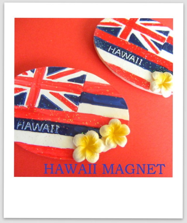 hawaii ハワイフラッグ マグネット