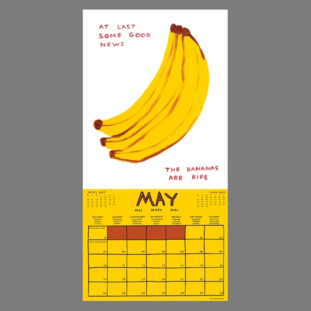 〈予約中〉DAVID SHRIGLEY：2027 WALL CALENDAR