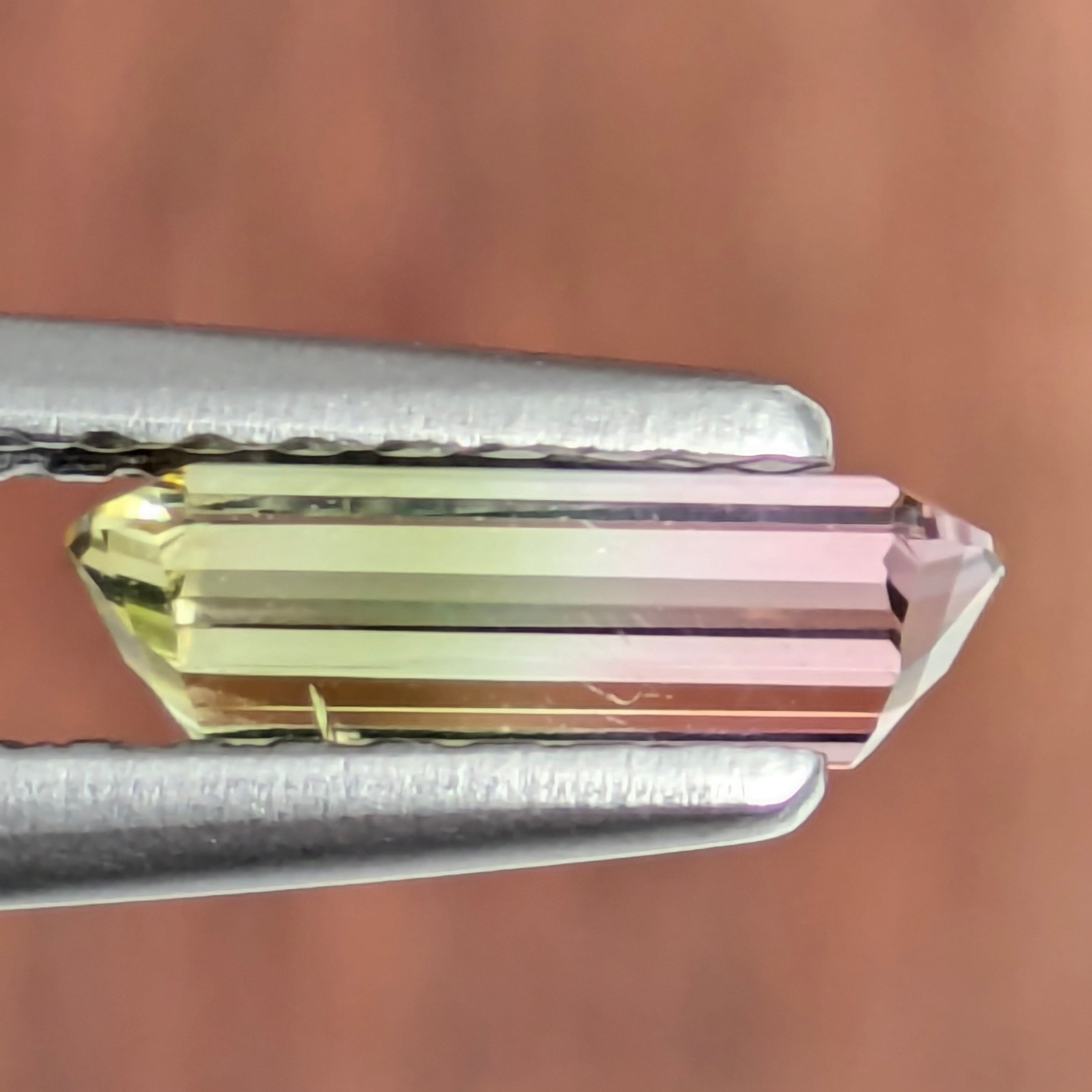 バイカラートルマリンルース 【0.66ct】 PRO208954 | Gem's Subculture
