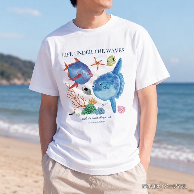 海の生きもの半袖Tシャツ（マンボウ）｜LIFE UNDER THE WAVES Model-06