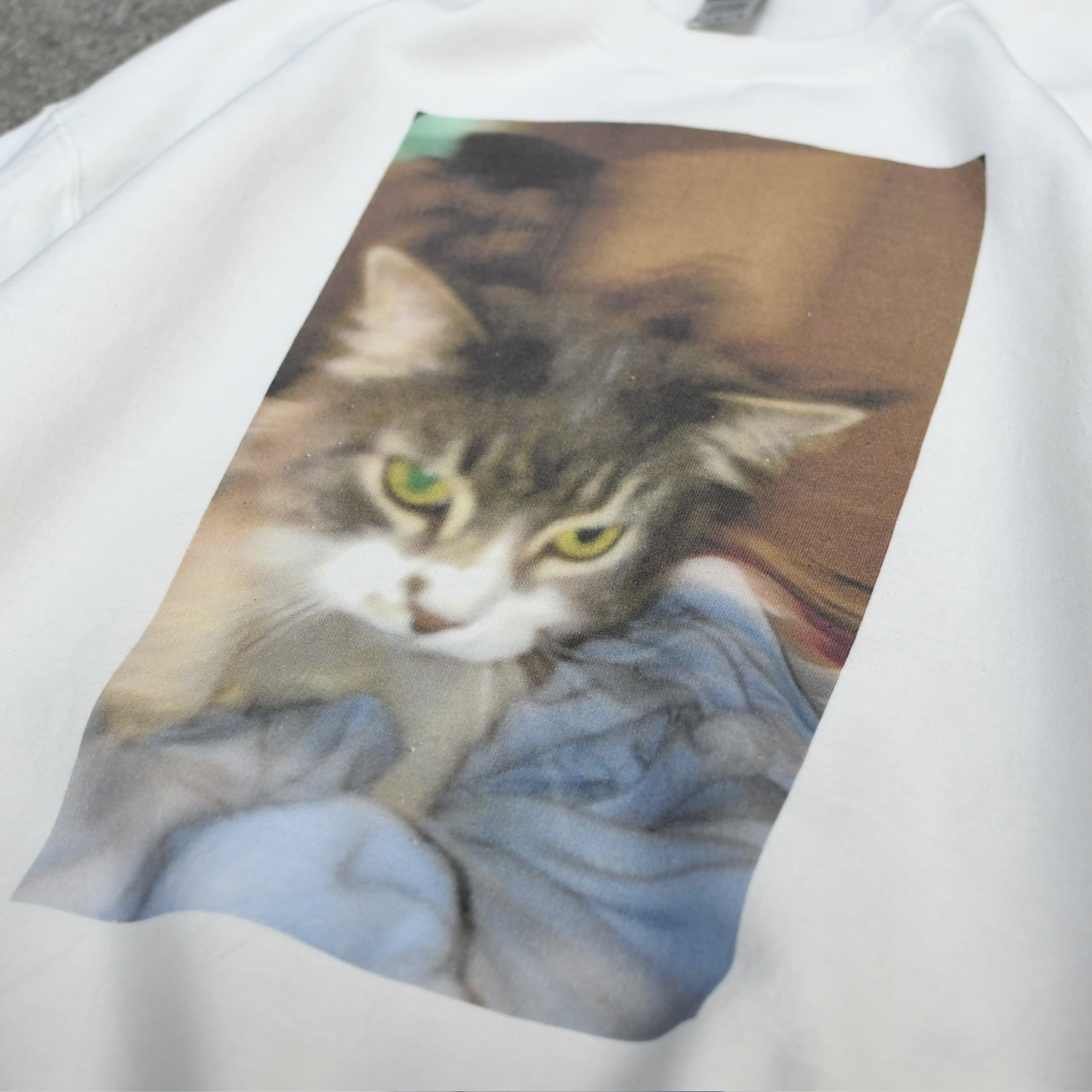 cat photo print sweat