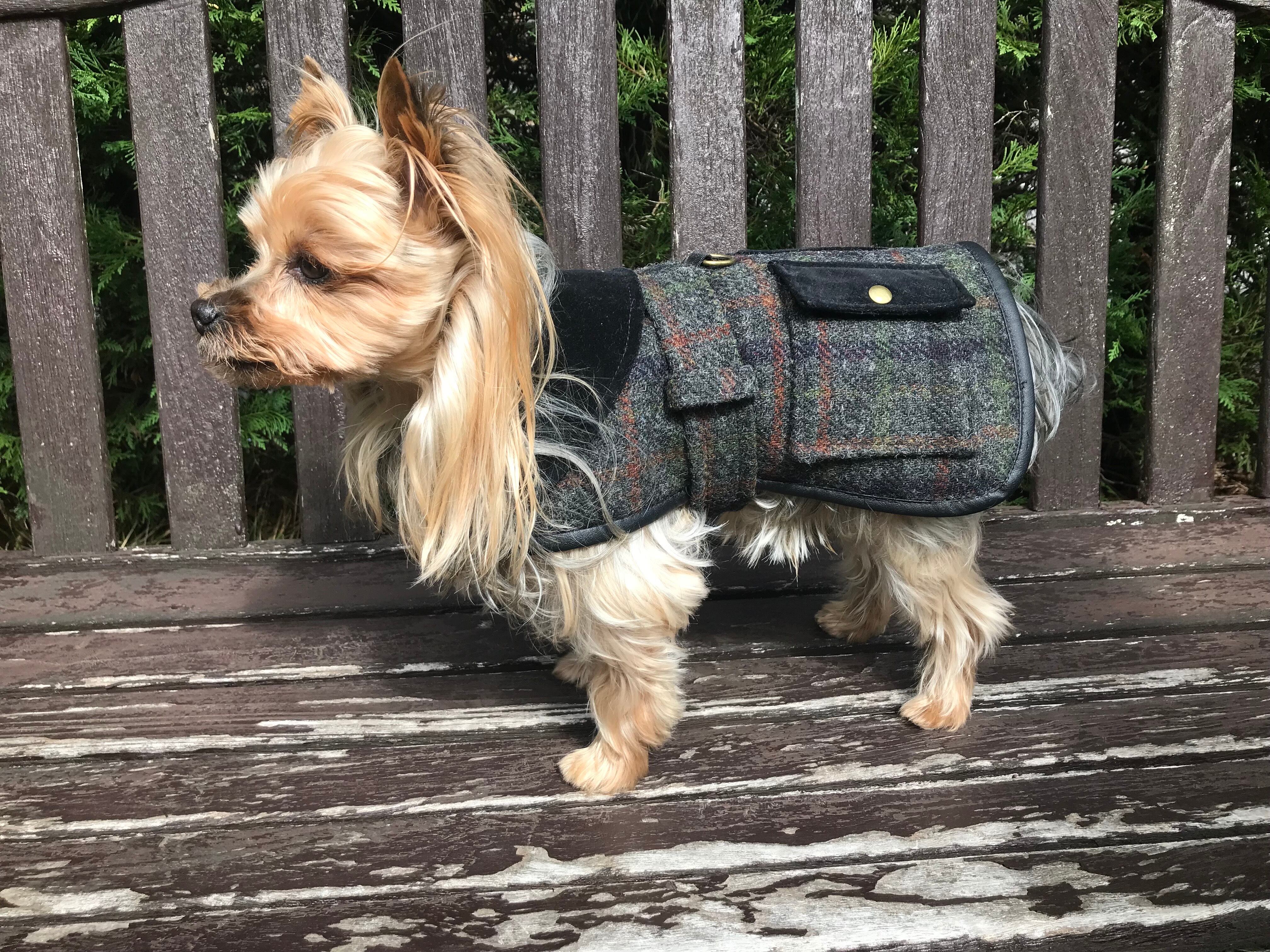 セミオーダーハリスツィード使用小型犬用服