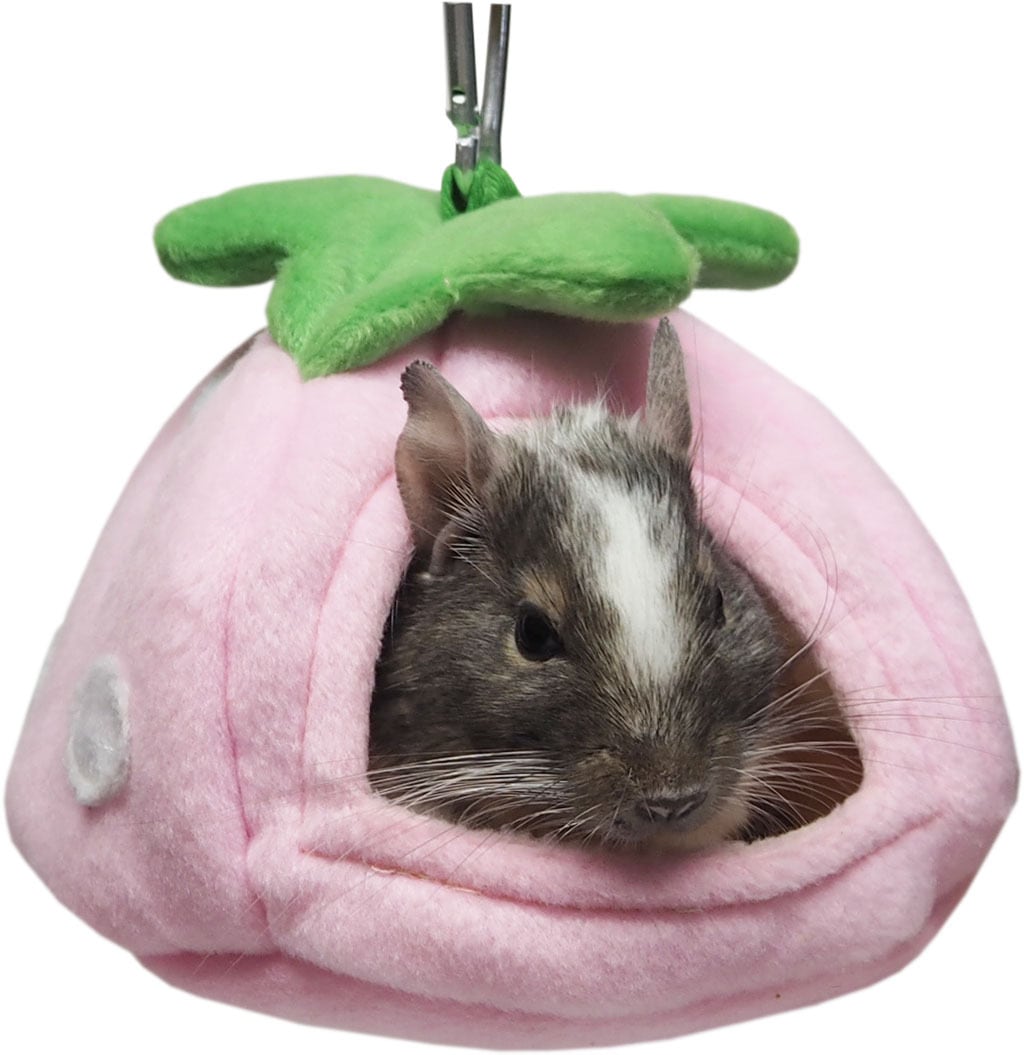 【小動物】ゆらゆらいちごハウス レッド/ピンク