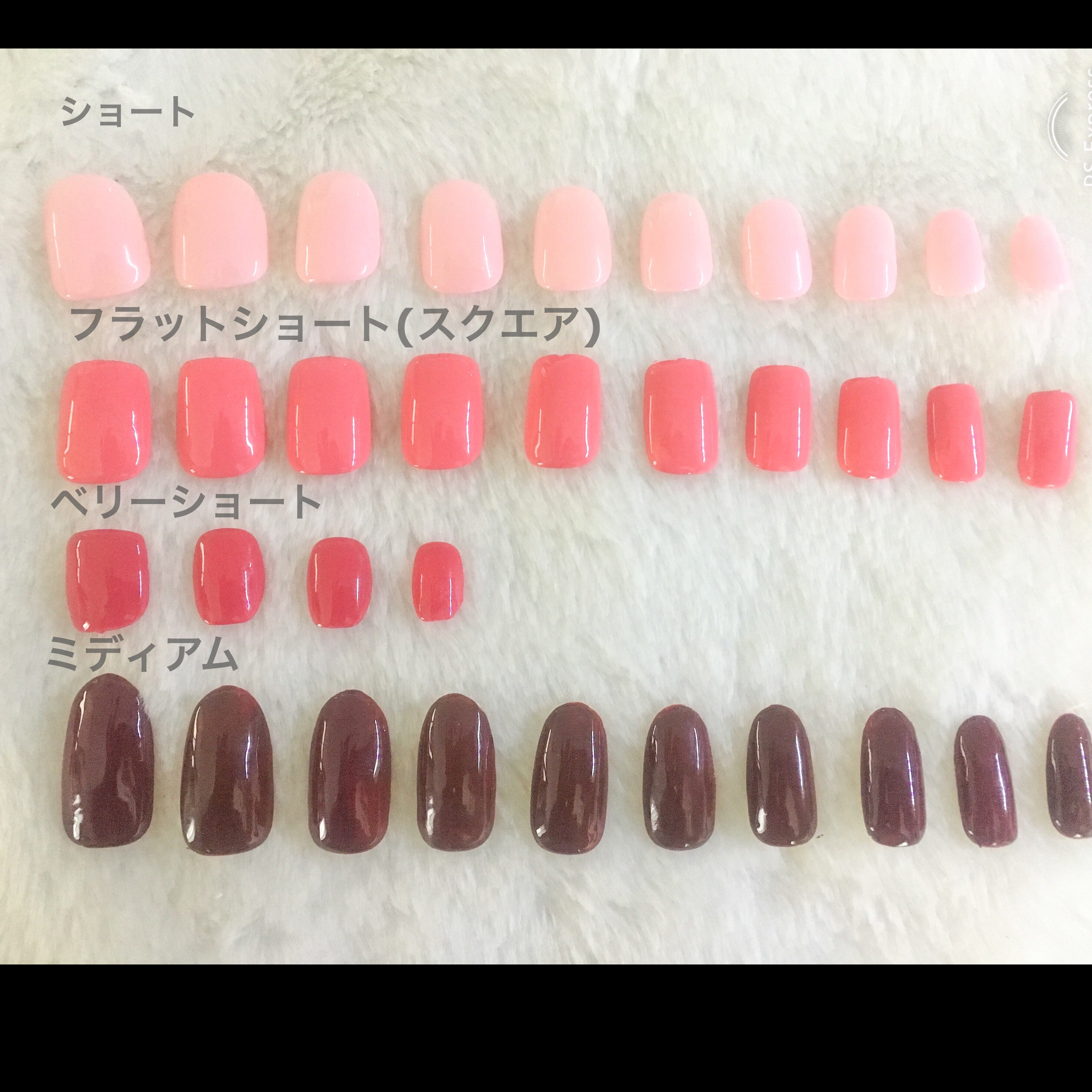 ネイルチップ 人気no2 リボンネイル 16枚入り Blanche