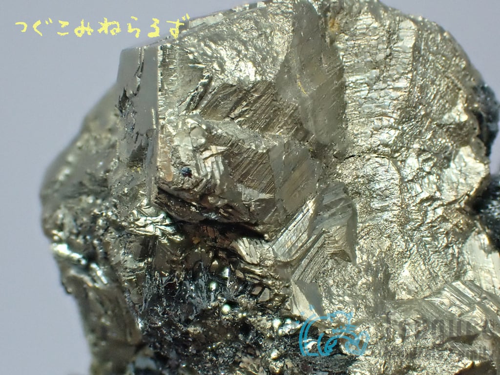 パイライト 黄鉄鉱 Pyrite イタリア TM-0042