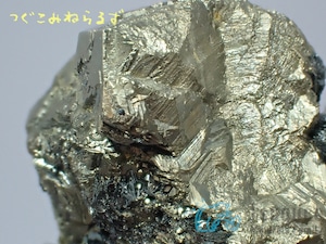 パイライト 黄鉄鉱 Pyrite イタリア TM-0042