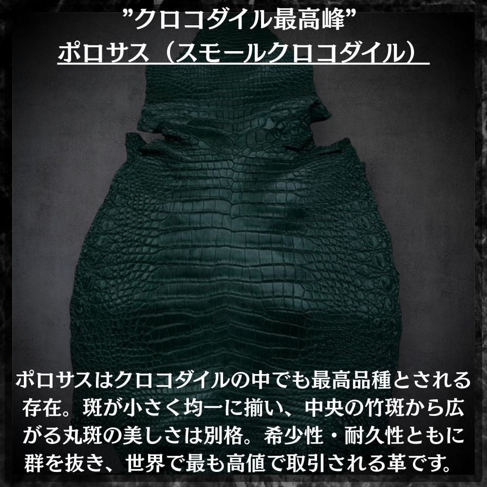 絶大な存在感 ポロサス クロコダイル 長財布 シャイニング加工