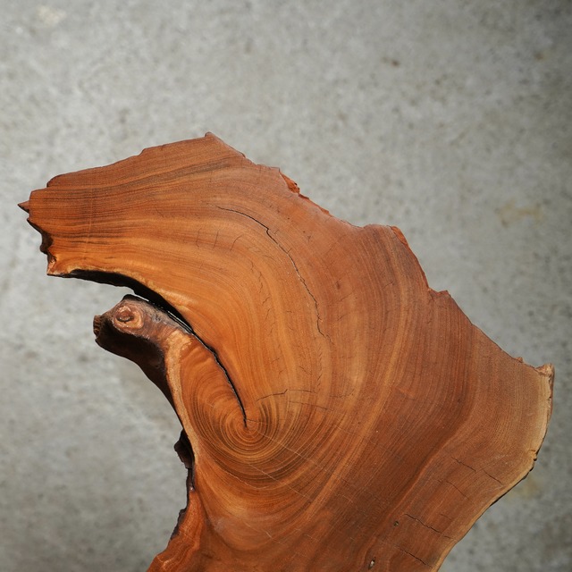 欅の輪切り コーヒーテーブル（高さ・カラー変更無料）