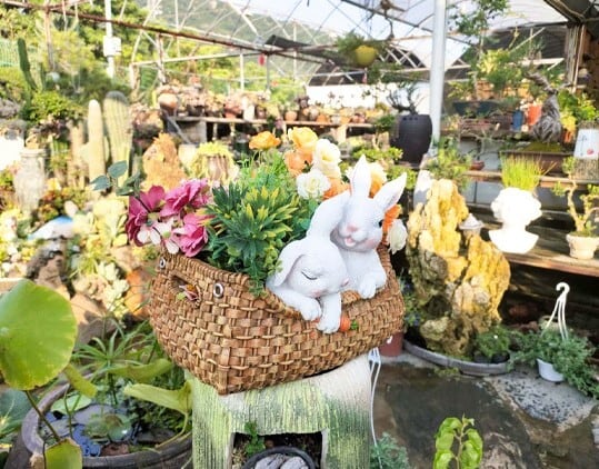 鉢 うさぎ かわいい 植木鉢 多肉植物 寄せ植え 小動物 フラワーポット