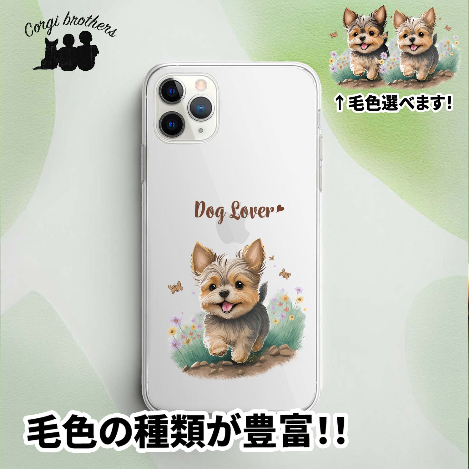 ヨークシャテリア | Corgibrothers