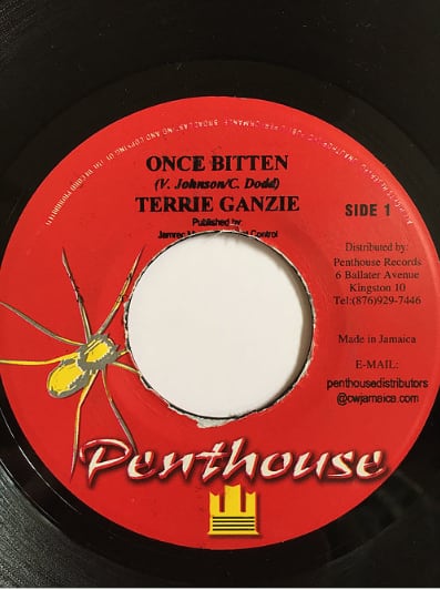 Terrie Ganzie（テリーガンジー） - Once Bitter【7inch】