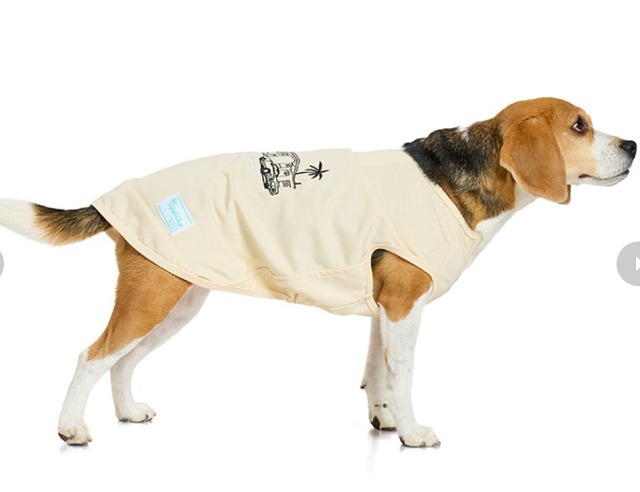 犬服　わんこ服　ペット服　接触冷感　ICEシーサイドタンク保冷剤付き　［サイズ：5号］