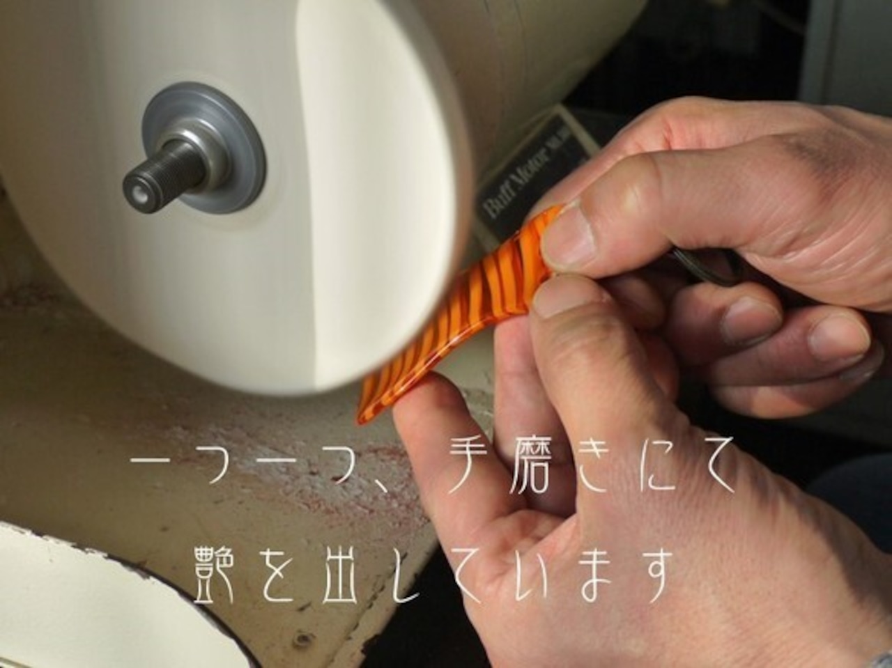 ★恐竜ピアス★パラサウロロフス【メガネ産地福井~メガネ素材で作ったアクセサリー】