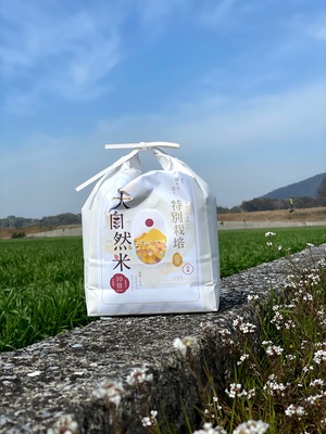 大自然米【3kg】精白米