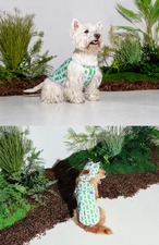 【PUPPYGALLERY公式】Bouncing Bear Tank Top　M