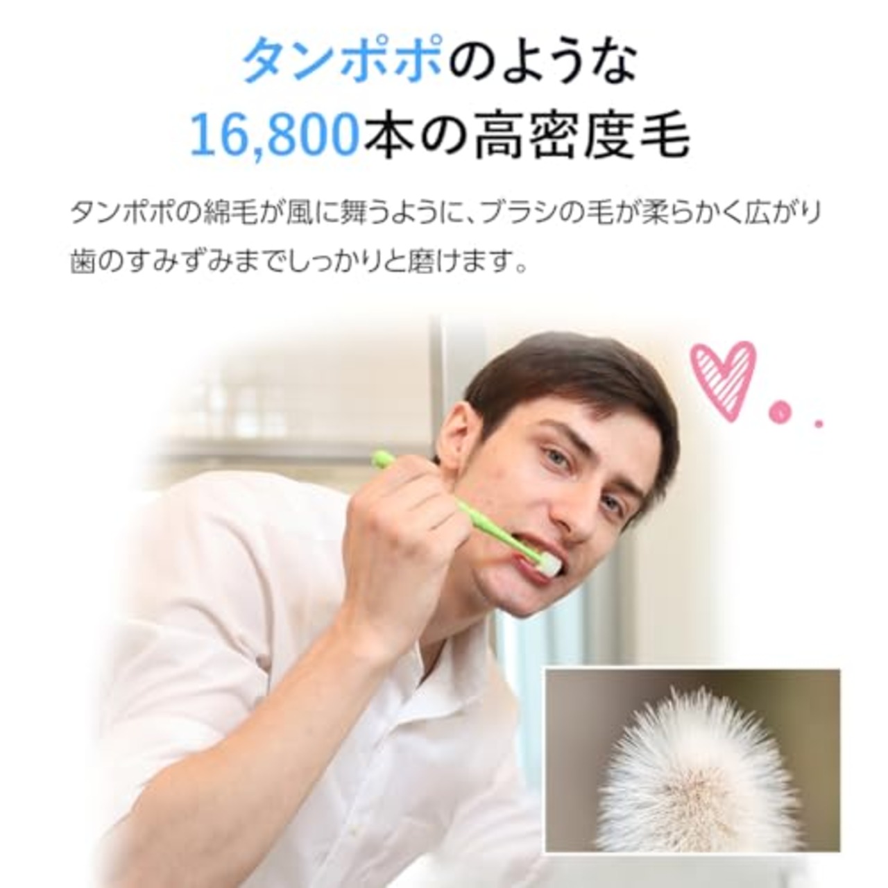 たんぽぽの種 ３６０度ぐるっと丸い歯ブラシ 極細毛 (成人用 4本セット)