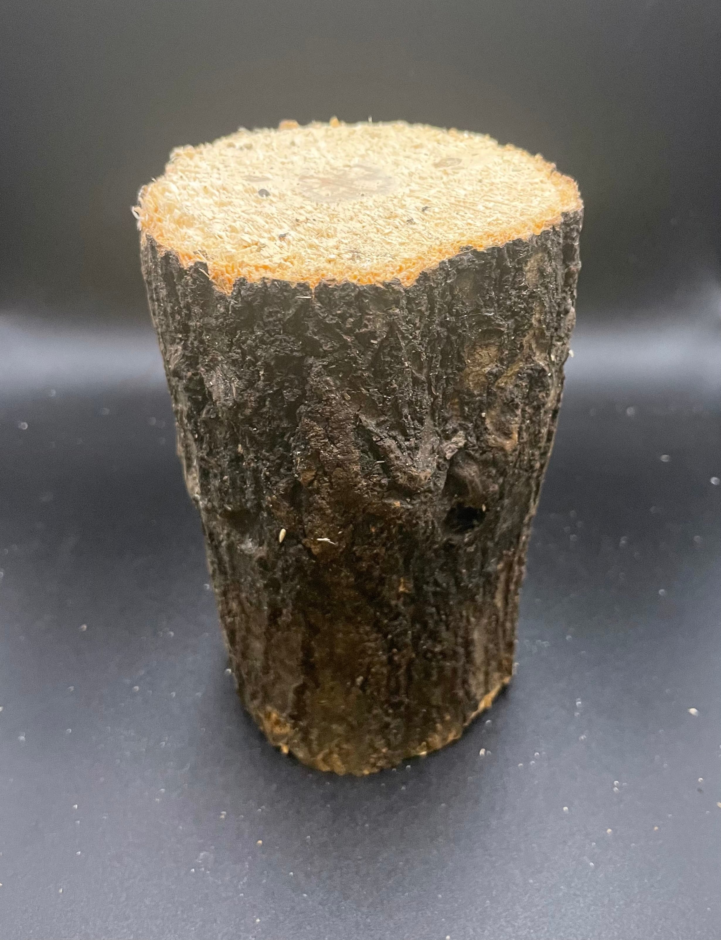 産卵木・植菌材 | KPW公式オンラインショップ