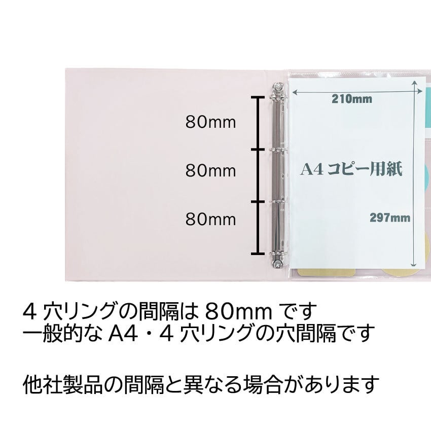 ☆通販限定☆コレクションアルバムA4 A4クリアファイルリフィール・10
