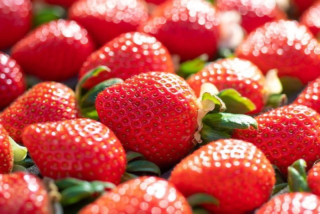 彩のあまりん | yajimafarm