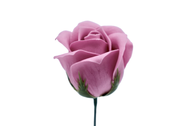 ゴールドバラG-PR5 チェリーブロッサム (15輪入りor25輪入り)