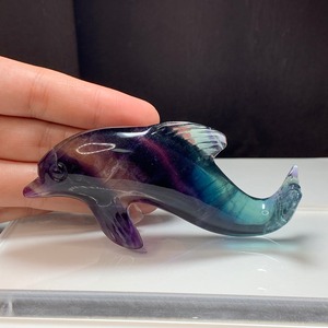 1.極上☆超透明！多彩な色合い☆イルカフローライト置物