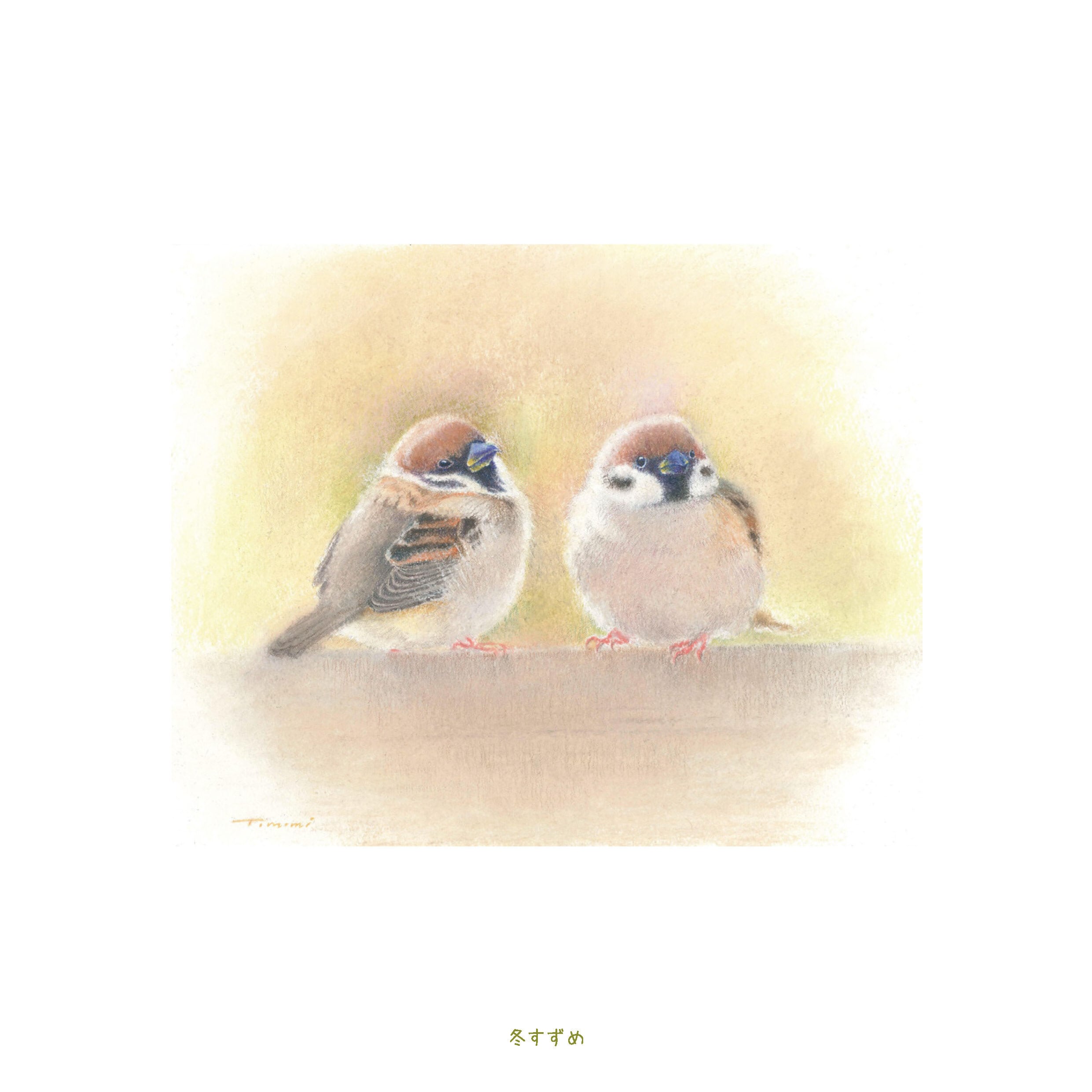 116c340bcd6b8909ea2f414e1ace1f