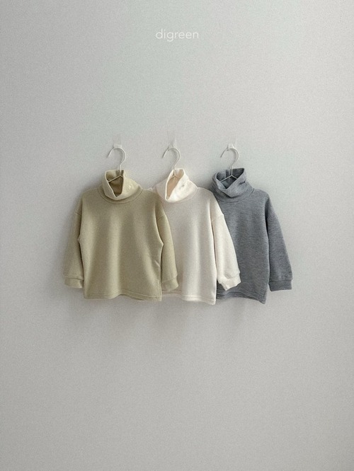 digreen25wn_Teddy Turtleneck