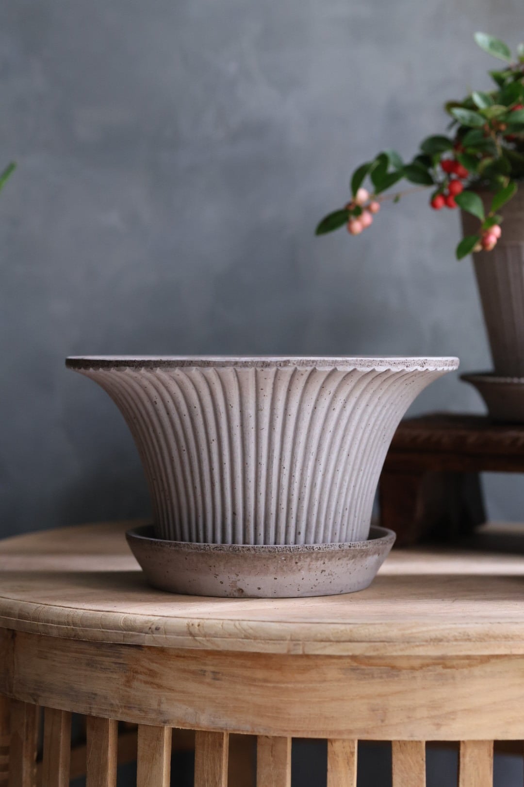 Bergs Potter⚫︎Daisy gray | SHUTOCA