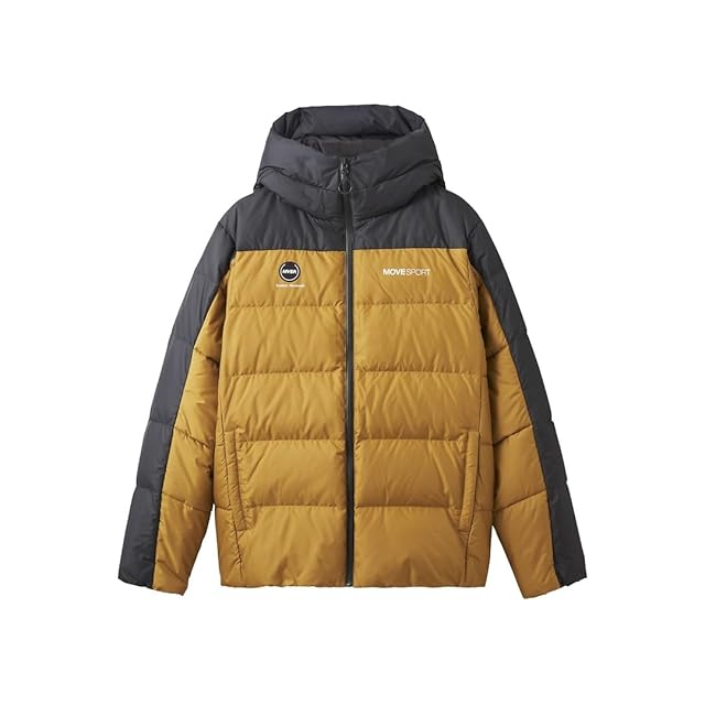 名作 Patagonia ダスパーカー ゲッコーグリーン S パタゴニア DAS
