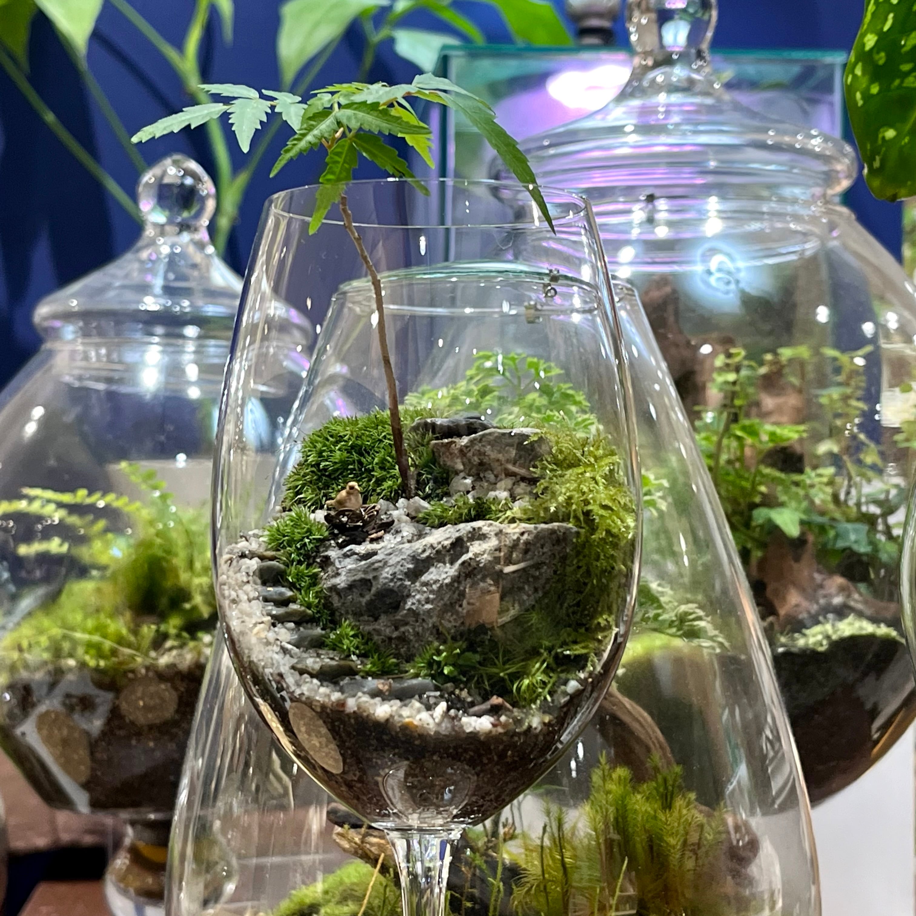 グラスサンドアートの苔テラリウム | theonlyone