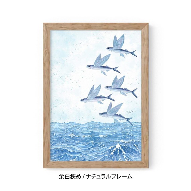 A4｜魚翔海図（ぎょしょうかいず）（フレームあり）