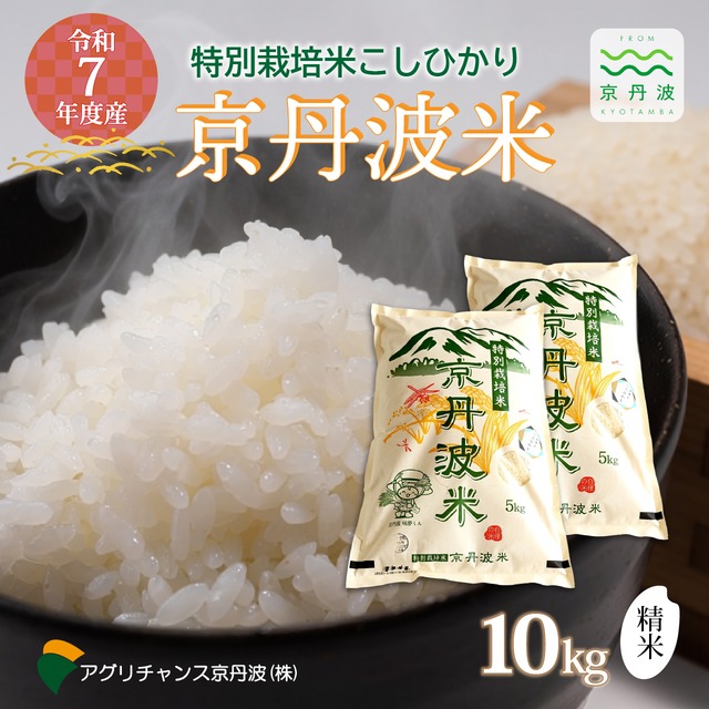 AK002N 特別栽培米 コシヒカリ 京丹波米 10kg　京都 京丹波町産 米 精米 生産者限定 令和７年度産
