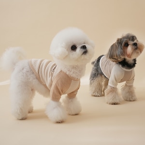 【予約 / 一部予約】Organic Raglan Tee｜Thin Stripe Beige