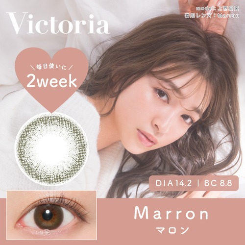 ヴィクトリア 2ウィーク(Victoria 2Week)《Marron》マロン[6枚入り]