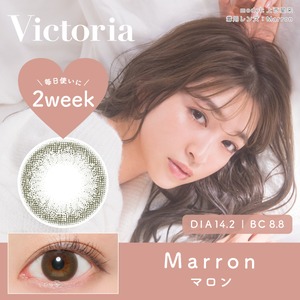 ヴィクトリア 2ウィーク(Victoria 2Week)《Marron》マロン[6枚入り]