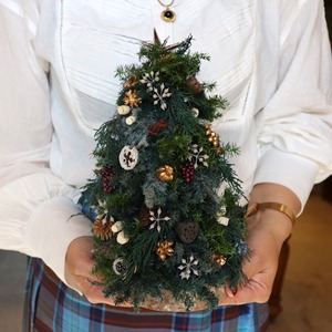 ミニクリスマスツリー クリスマス ツリー Xmas christmas tree クリスマスアレンジメント ナチュラル雑貨 フラワーアレンジメント プリザードフラワー ドライフラワー te0120