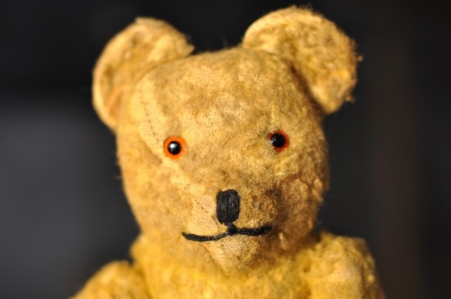 Teddy bear1