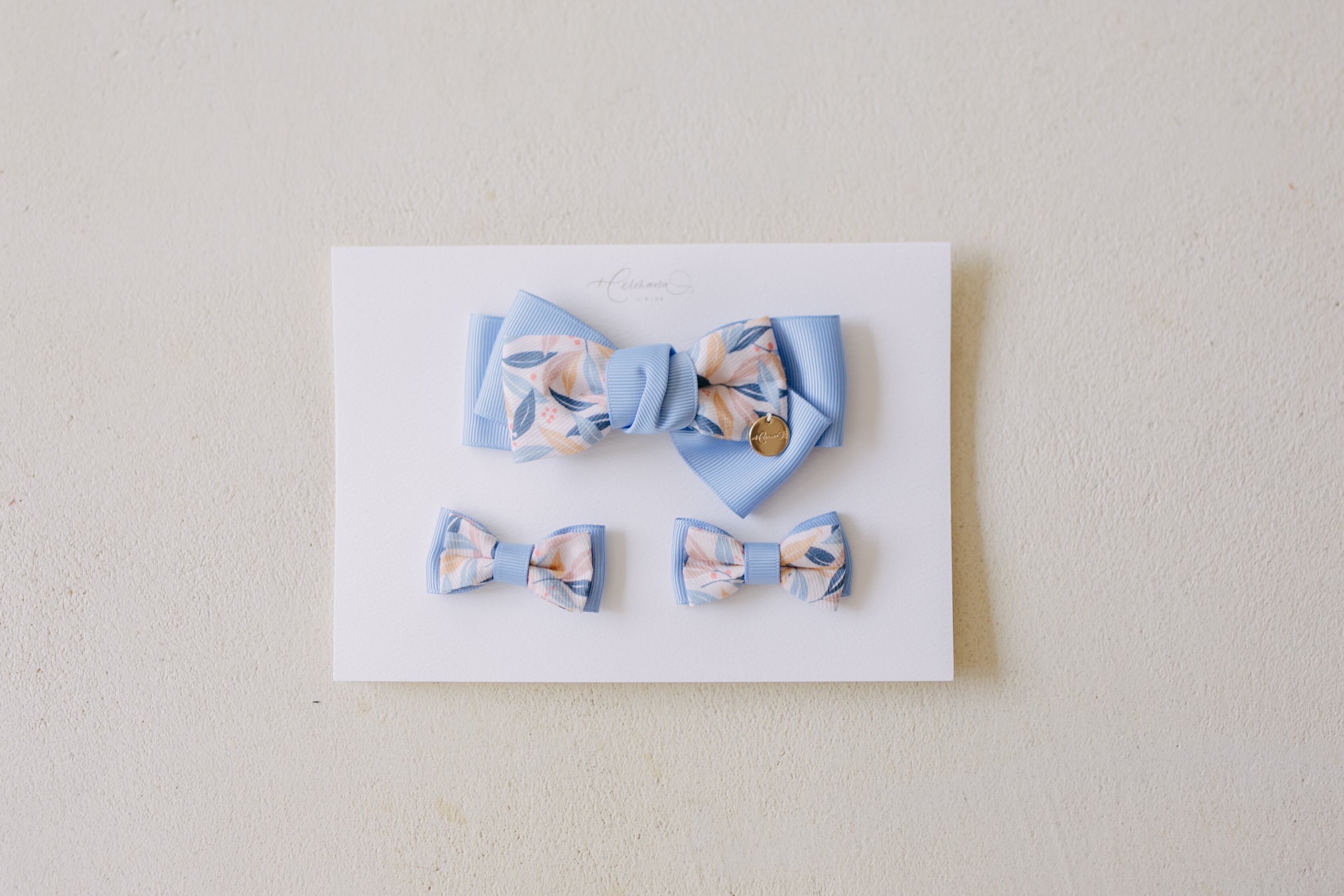 Hair Clip & Tie (Adelina azul)