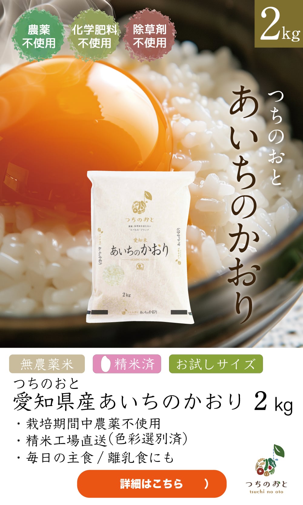 白米 15kg 袋　精米済み 8年産米先行受付＞令和9年3月上旬発送 はえぬき【白米】15kg(5kg×3袋