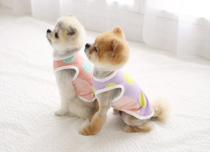 レモンタンクトップ S ~ XL 2color / 犬服 新作 夏 可愛い 犬の服 ドッグウェア ペット 涼しい 小型犬 中型犬 ワンコ服 top89
