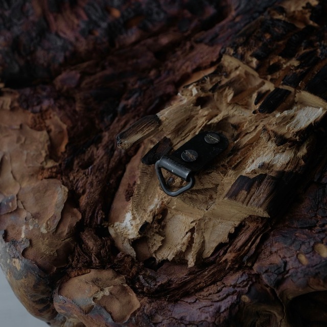 Tree burl