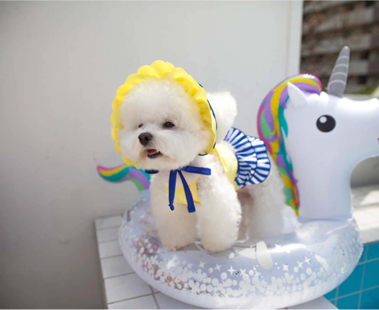 予約【coco chien】Eva Bikini Swimwear (Short)