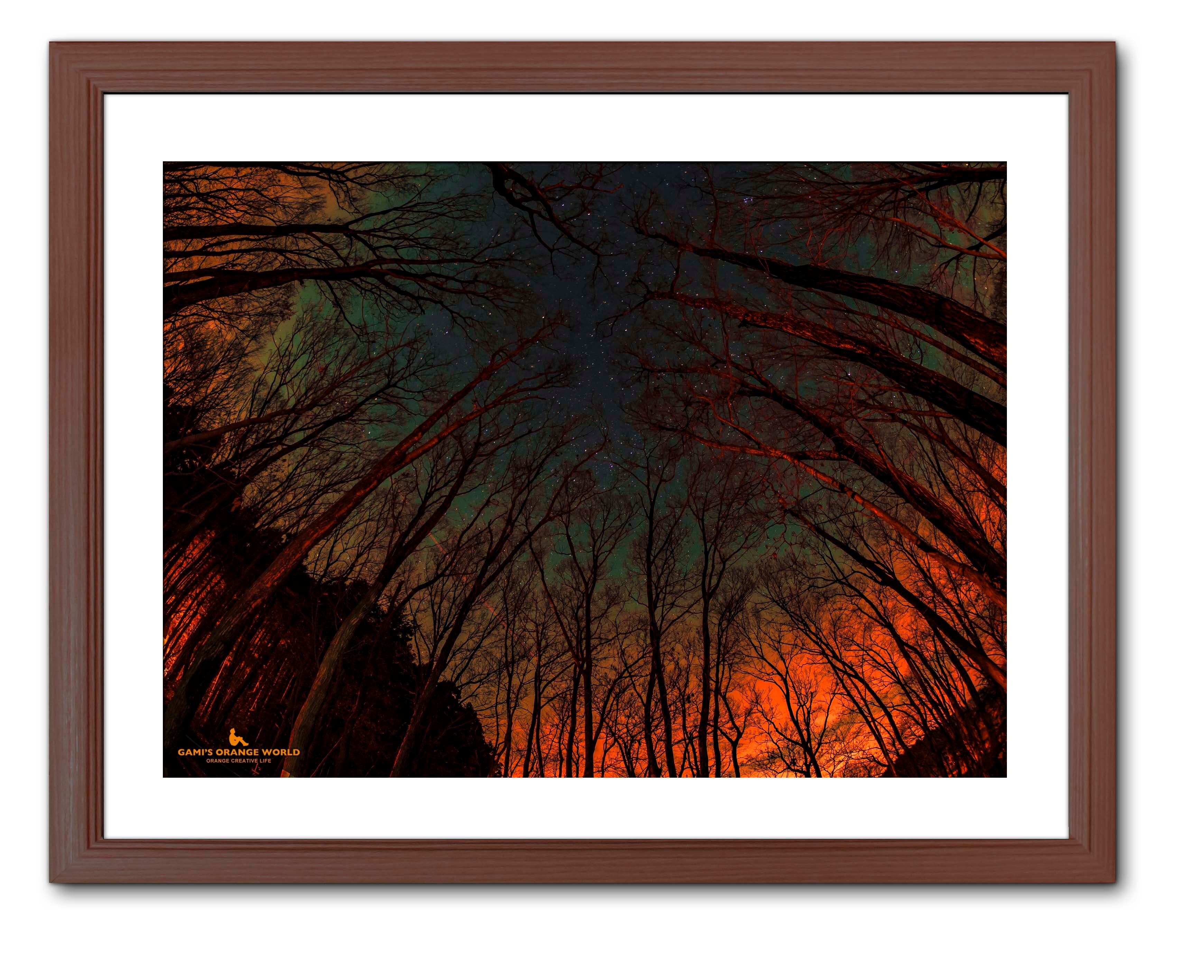 1185d2be5d96a38aec9566e5189aba