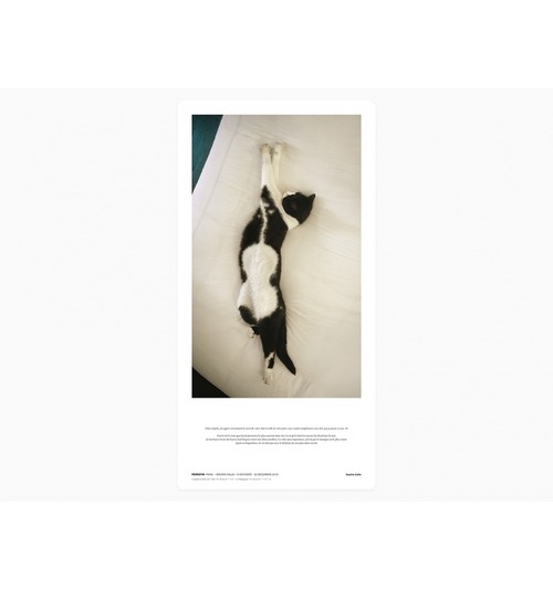 Sophie Calle - Souris Calle unsigned