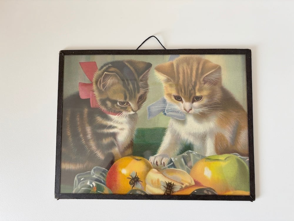 ドイツ】猫の額入りイラスト / 果実と昆虫と | maisonqueque