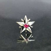 10P STAR STUD with RUBY / 10ピークス スターピアス・ルビー